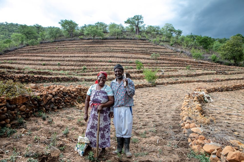 Brot für die Welt kommt nach Lippe - Projektbeispiel Simbabwe: Kleinbauern wie Evelyn und Gift Dirani werden dabei unterstützt, auf ihrem Hof mit den Folgen des Klimawandels zu leben und gleichzeitig die Umwelt zu schützen. Foto: Karin Schermbrucker/Brot für die Welt