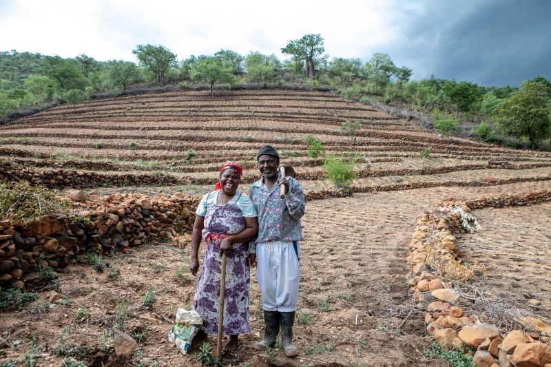 Brot für die Welt - Projektbeispiel Simbabwe: Kleinbauern wie Evelyn und Gift Dirani werden dabei unterstützt, auf ihrem Hof mit den Folgen des Klimawandels zu leben und gleichzeitig die Umwelt zu schützen. Foto: Karin Schermbrucker/Brot für die Welt